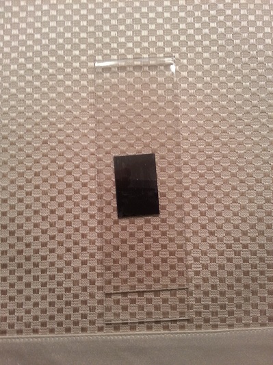 Magnetic Frame Favor